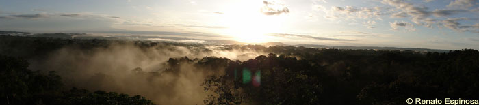 Eastern view from Tower